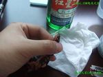 星点水龟
