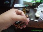 星点水龟